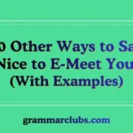 Other Ways to Say ‘Nice to E-Meet You’ (With Examples)