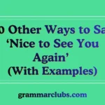 Other Ways to Say ‘Nice to See You Again’ (With Examples)