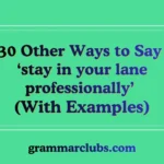 Other Ways to Say ‘stay in your lane professionally’ (With Examples)