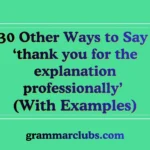 Other Ways to Say ‘thank you for the explanation professionally’ (With Examples)