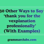 Other Ways to Say ‘thank you for the explanation professionally’ (With Examples)