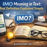 IMO Meaning in Text: Real Definition Explained Simply