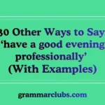 Other Ways to Say ‘have a good evening professionally’ (With Examples)