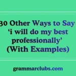 Other Ways to Say ‘i will do my best professionally’ (With Examples)