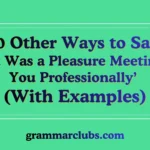 Other Ways to Say “It Was a Pleasure Meeting You Professionally” (With Examples)