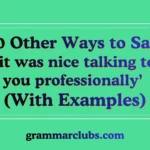 Other Ways to Say ‘it was nice talking to you professionally’ (With Examples)