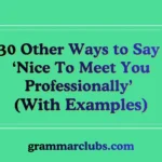 Other Ways to Say ‘Nice To Meet You Professionally’ (With Examples)