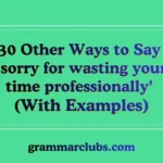Other Ways to Say ‘sorry for wasting your time professionally’ (With Examples)