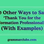 Other Ways to Say ‘Thank You for the Information Professionally’ (With Examples)