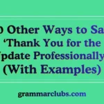 Other Ways to Say ‘Thank You for the Update Professionally’ (With Examples)