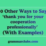 Other Ways to Say ‘thank you for your cooperation professionally’ (With Examples)