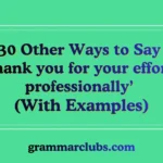 Other Ways to Say ‘thank you for your efforts professionally’ (With Examples)