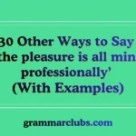 Other Ways to Say ‘the pleasure is all mine professionally’ (With Examples)