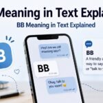 BB Meaning in Text Explained