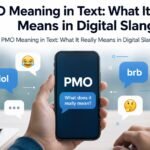 PMO Meaning in Text: What It Really Means in Digital Slang