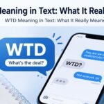 WTD Meaning in Text: What It Really Means
